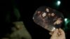 Filename=Jodelle-Dark-Matter-S01-E06-BJ_052.jpg
Filesize=230KiB
Dimensions=1920x1080
Date added=Jul 18, 2015 Jodelle-Dark-Matter-S01-E06-BJ_052.jpg