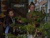 Pictures_of_Hollis_Woods__DVD_behind_the_scenes_00032.jpg