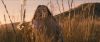 Filename=Jodelle-Ferland-Tideland-HD-screencaps-BJ_163.jpg
Filesize=670KiB
Dimensions=3840x1640
Date added=Sep 28, 2018 Jodelle-Ferland-Tideland-HD-screencaps-BJ_163.jpg