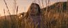 Filename=Jodelle-Ferland-Tideland-HD-screencaps-BJ_165.jpg
Filesize=663KiB
Dimensions=3840x1640
Date added=Sep 28, 2018 Jodelle-Ferland-Tideland-HD-screencaps-BJ_165.jpg