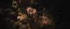 Filename=Jodelle-Ferland-Tideland-HD-screencaps-BJ_333.jpg
Filesize=460KiB
Dimensions=3840x1640
Date added=Sep 28, 2018 Jodelle-Ferland-Tideland-HD-screencaps-BJ_333.jpg