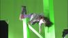 Filename=Getting_Giiliam_00223.jpg
Filesize=29KiB
Dimensions=853x480
Date added=Nov 11, 2007 Getting_Giiliam_00223.jpg