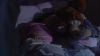 Filename=Jodelle-Ferland-Ambers-Story--screencaps-BJ_030.jpg
Filesize=701KiB
Dimensions=3840x2160
Date added=Sep 17, 2020 Jodelle-Ferland-Ambers-Story--screencaps-BJ_030.jpg