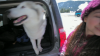 Filename=Jodelle-IcequakeHD-making0f_051.png
Filesize=1121KiB
Dimensions=1280x720
Date added=Jan 05, 2012 Jodelle-IcequakeHD-making0f_051.png