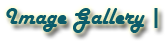 Image Gallery